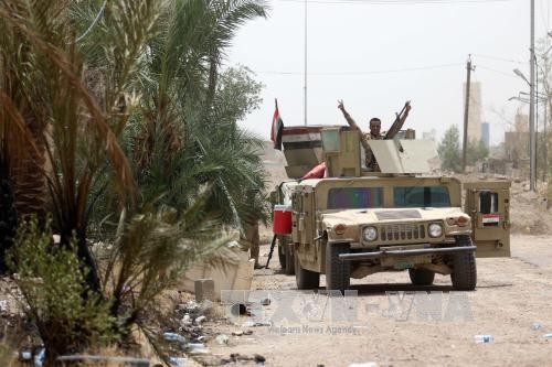Iraqi army claims liberation of Fallujah from IS - ảnh 1